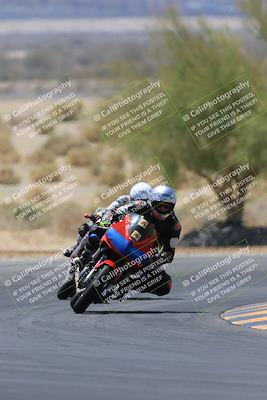 media/May-14-2023-SoCal Trackdays (Sun) [[024eb53b40]]/Turn 5 Tree of Life (1125am)/